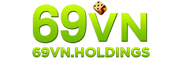 69vn.holdings