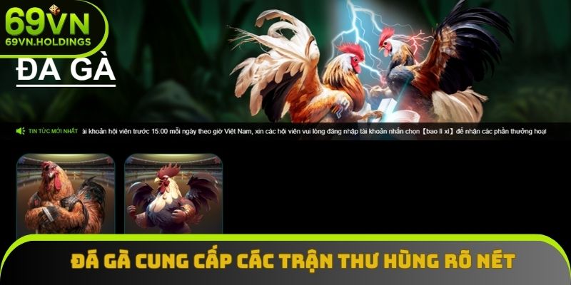 Đá gà liên kết các đối tác cung cấp các trận thư hùng rõ nét Đá gà liên kết các đối tác cung cấp các trận thư hùng rõ nét