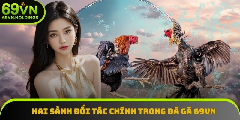 Hai sảnh đối tác chính trong đá gà 69VN Hai sảnh đối tác chính trong đá gà 69VN