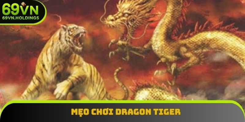 Mẹo chơi Dragon Tiger Mẹo chơi Dragon Tiger