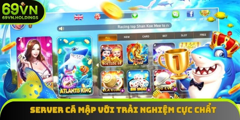 Phòng Cá Mập với trải nghiệm đặc sắc Phòng Cá Mập với trải nghiệm đặc sắc